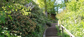 Vakantiewoning Eichenwäldchen****, 129 m², 3 slaapkamers, max. 8 personen