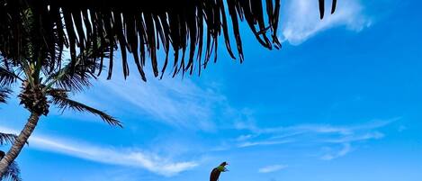 بالقرب من الشاطئ