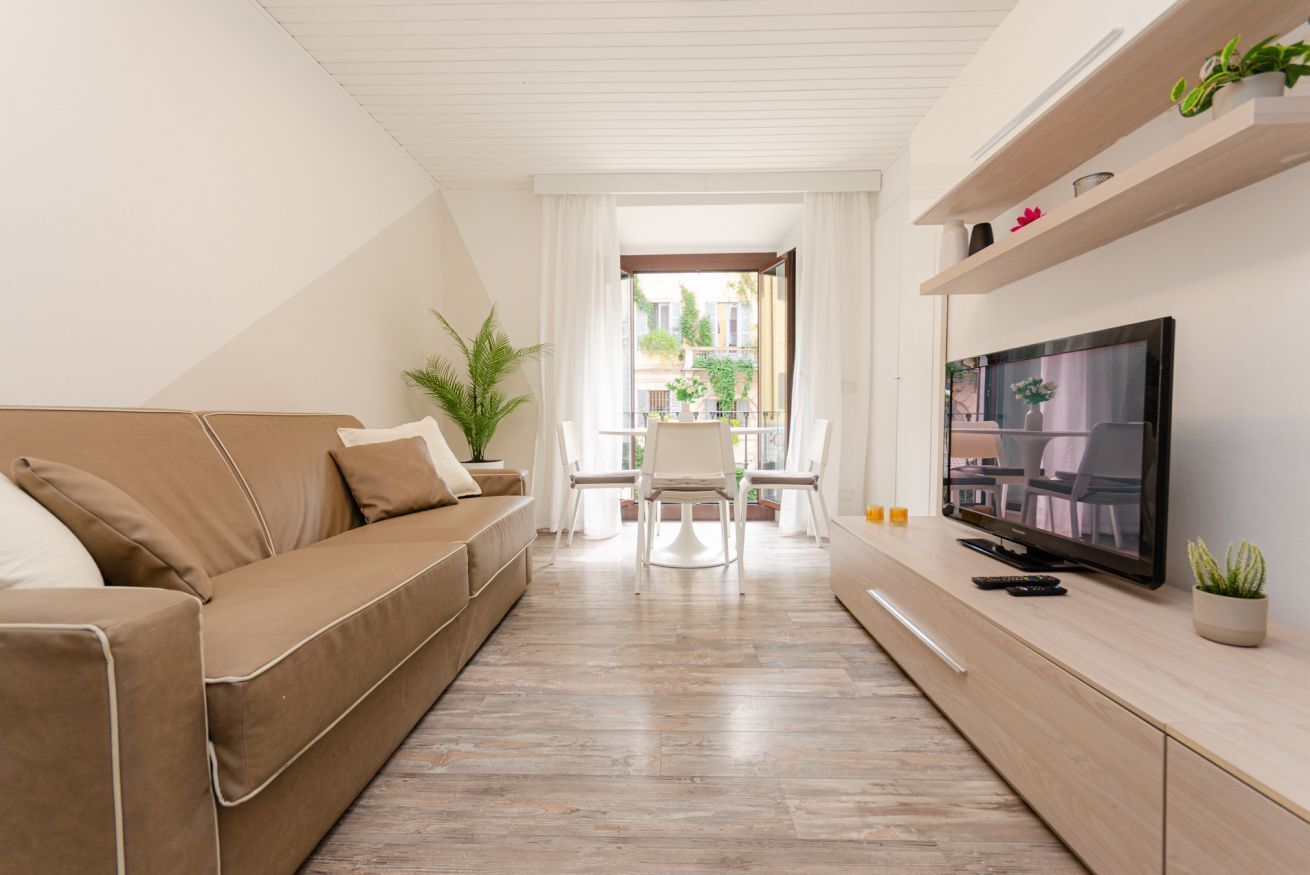 Flat-screen TV