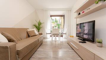 Flat-screen TV