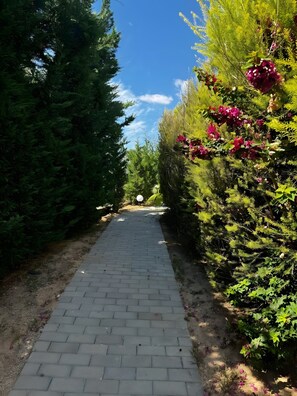 المنطقة المحيطة بالمنشأة