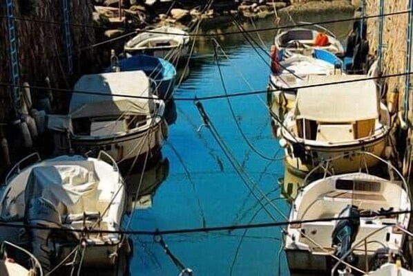 Marina - To complete (Piombino)