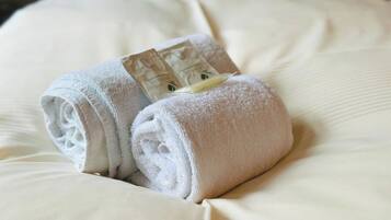 Economy Twin Room, Garden View | Desk, laptop workspace, free WiFi