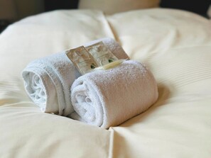 Economy Twin Room, Garden View | Desk, laptop workspace, free WiFi