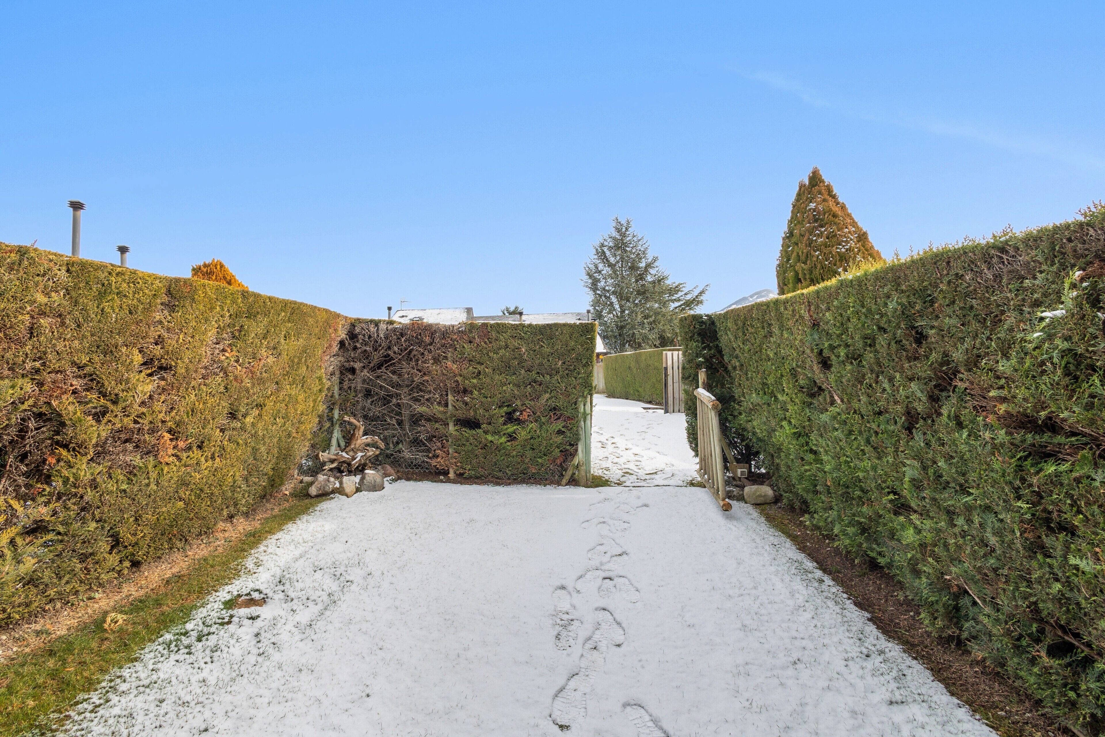 Un sendero nevado bordeado por setos cuidados, que conduce a un edificio con entrada visible.