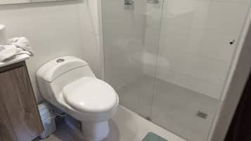Shower, bidet, towels, soap