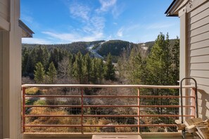 Property grounds - Steps to the lifts - Slopeside Keystone Condo! (Keystone)