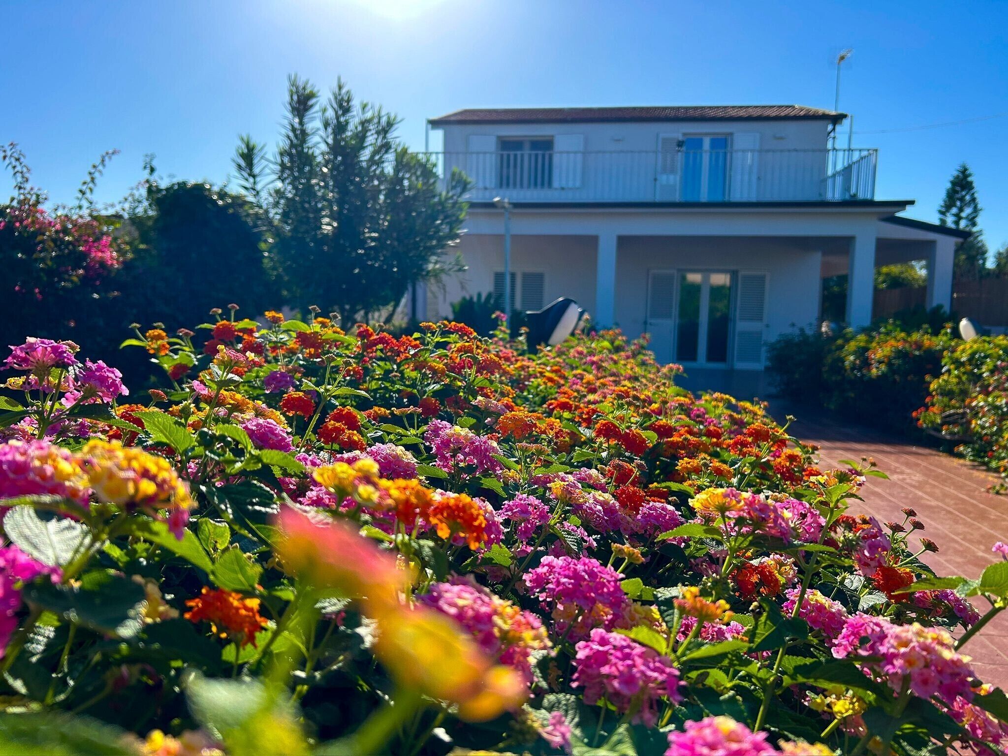 Jardines del alojamiento