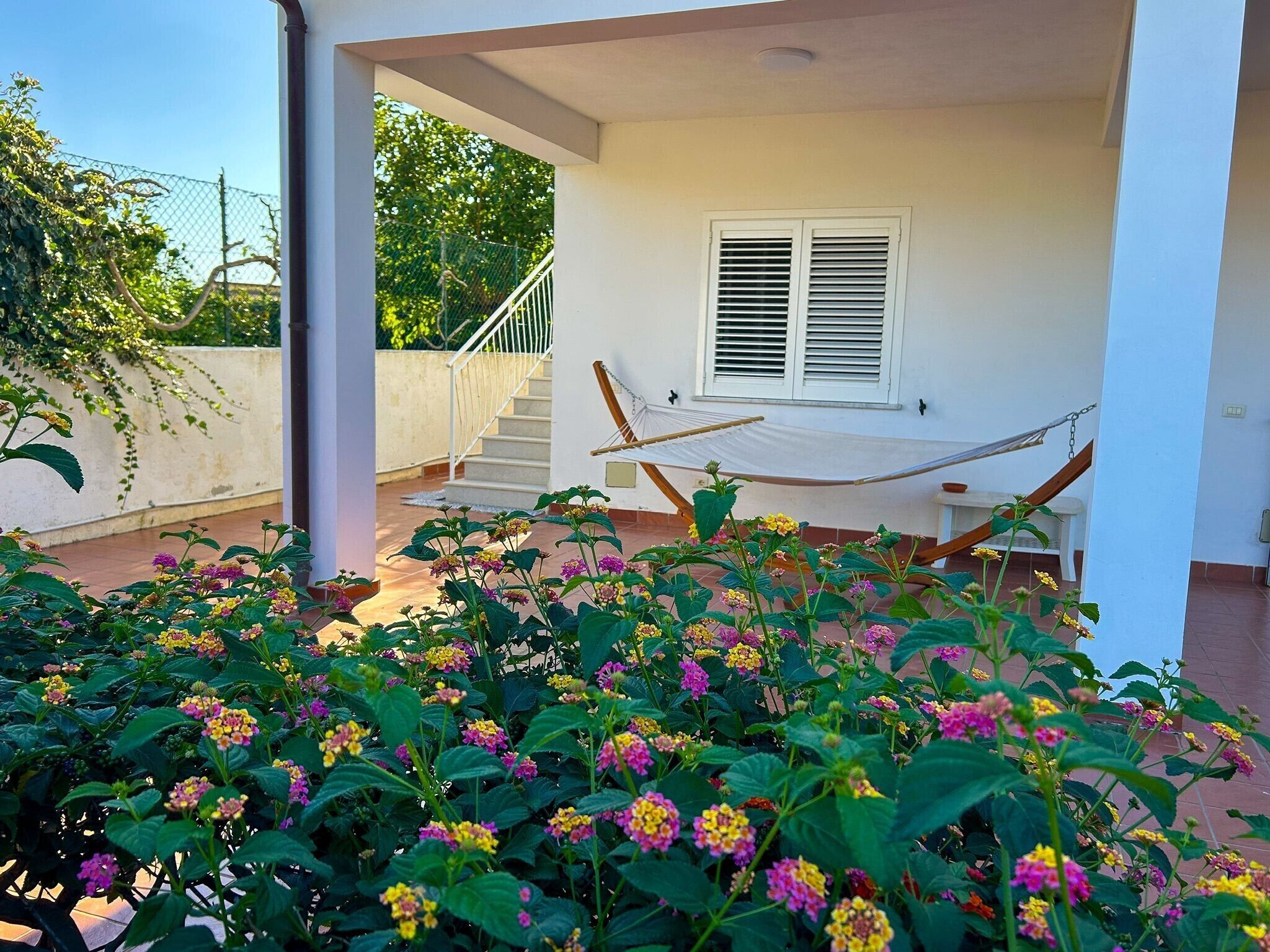 Terrein van de accommodatie