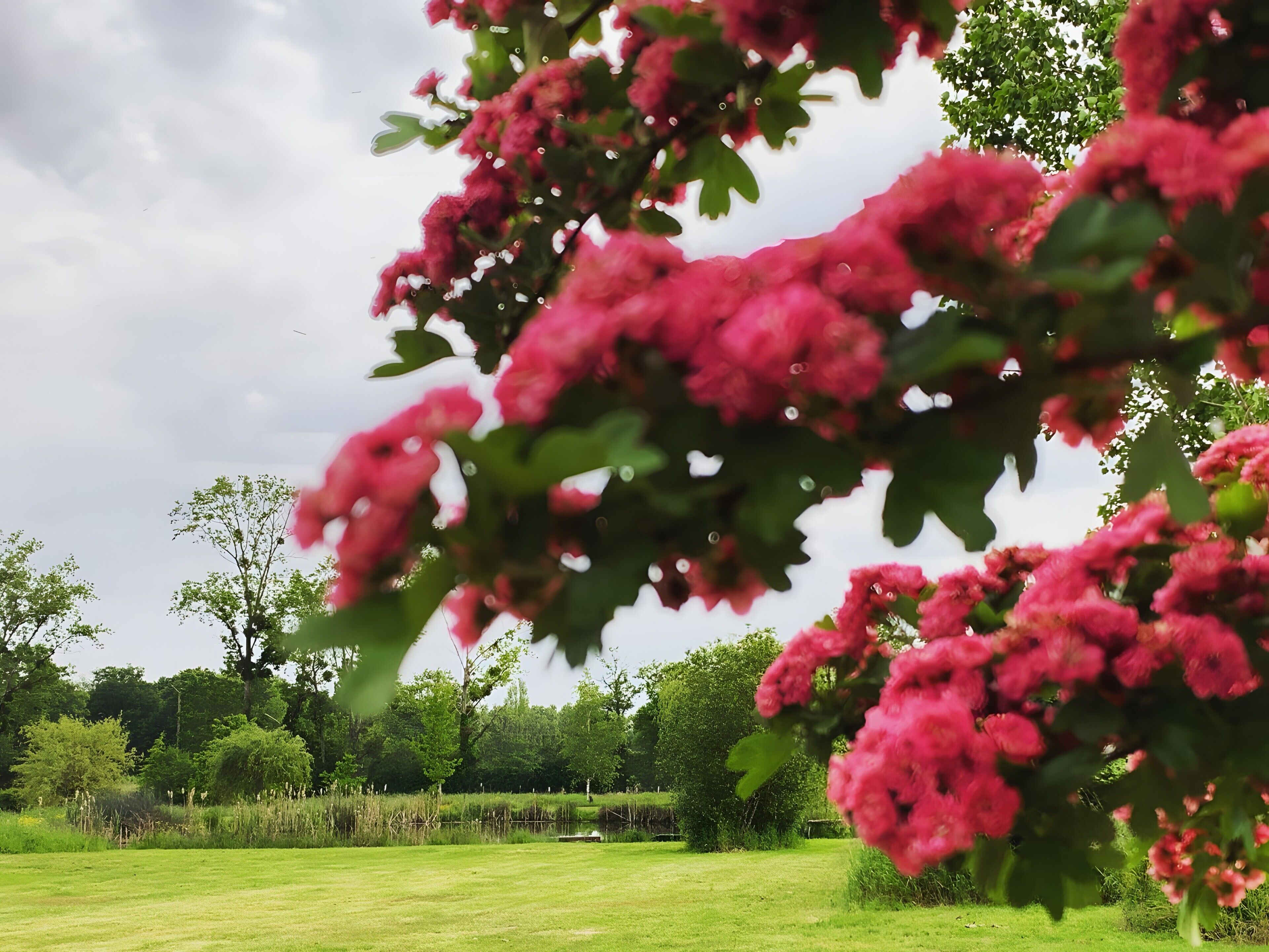 Terrein van de accommodatie