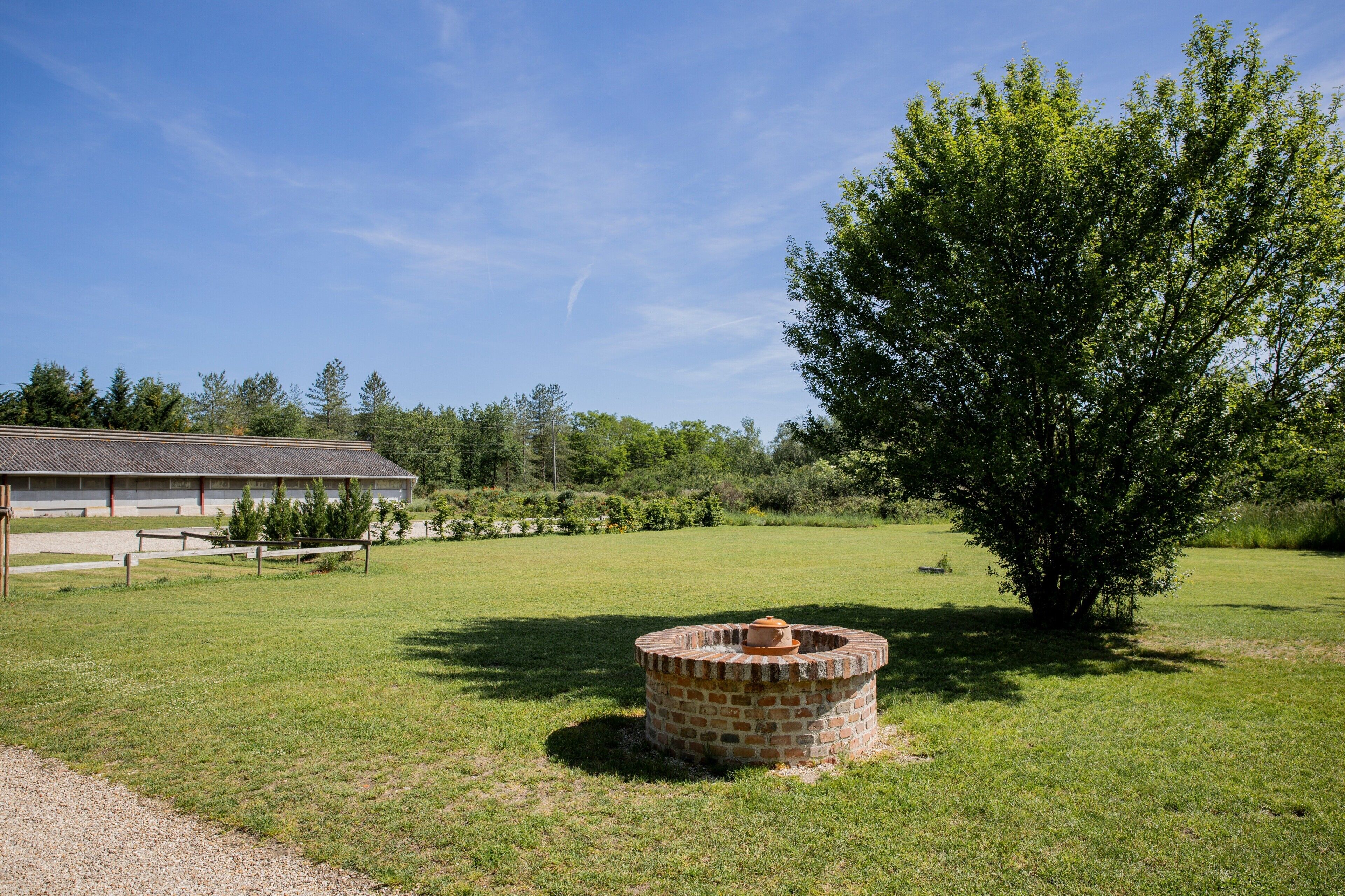 A grassy field with a brick fire pit, a large tree, and a building in the background.
