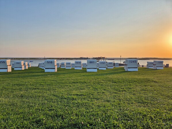 Une rangée de tentes blanches, chacune portant un numéro, avec un champ d’herbe et un coucher de soleil sur l’eau en arrière-plan.