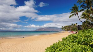 Une plage avec un hôtel en arrière-plan, des palmiers et une montagne.