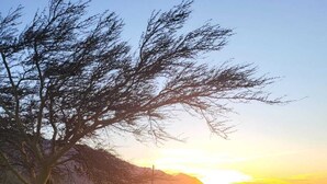 Une pelouse bordée d’arbres, avec un coucher de soleil en arrière-plan.
