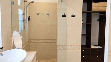 A modern bathroom with a large sink, mirror, shower, and walk-in closet.