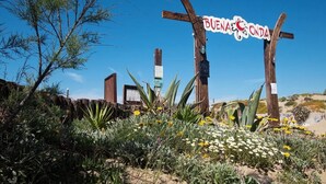 Een houten bord met de tekst 'BUENA ONDA' in een woestijnlandschap met cactussen en bloemen.