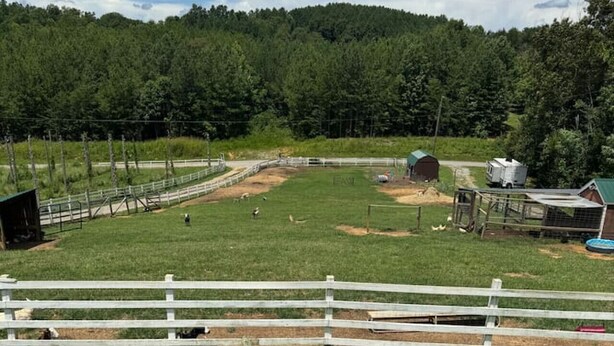 Un espace extérieur clos, avec un terrain herbeux, un petit abri et une grange en arrière-plan.