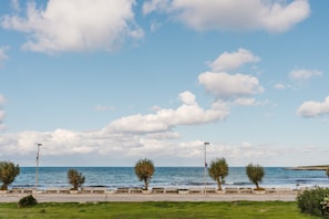 Un paseo marítimo con cielo despejado, bancos y árboles a lo largo del camino.