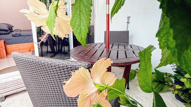 Una silla de mimbre, una mesa de madera y una planta con flores en un patio.
