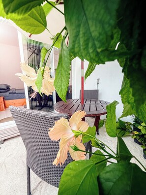 A wicker chair, a wooden table, and a potted plant with flowers in a patio area. - The Wave Dhigurah (Dhigurah)