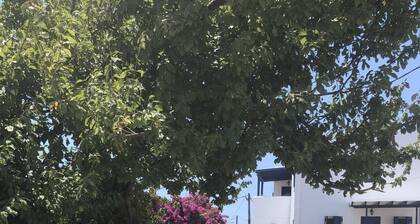 Apartment 'Cozy For Rent In Kythera' with Shared Terrace, Wi-Fi and Air Conditioning