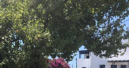 Appartement 'Cozy For Rent In Kythera' avec terrasse partagée, Wi-Fi et climatisation