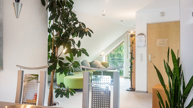 Una habitación de hotel moderna con un sofá verde, una zona de comedor con un cuenco de metal y una planta grande.