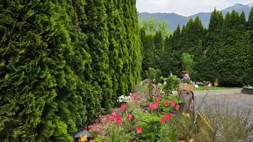 Área da propriedade