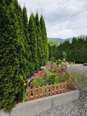 Área da propriedade