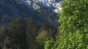 Une montagne aux sommets enneigés, couverte d’une forêt dense, et surplombée d’un ciel bleu clair.