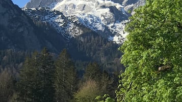 Overig