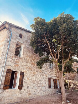 A stone building with two windows, one with wooden shutters, and a tree in front. - Village house between sea and mountains (Pietrosella)