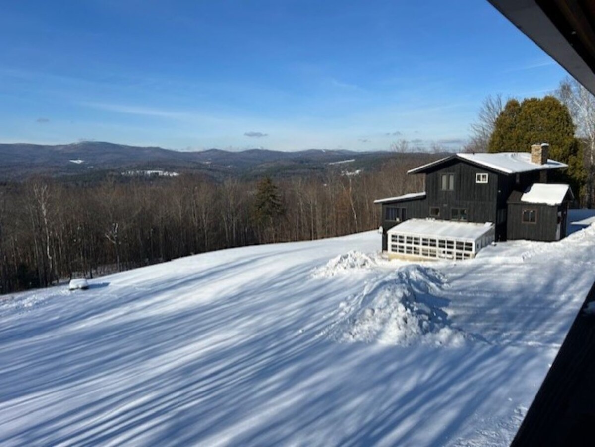 Imagen de perfil del propietario o de la propietaria