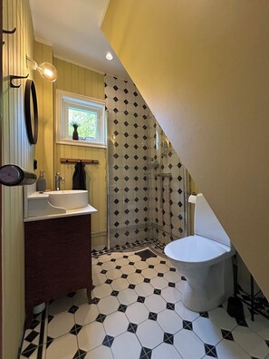 Shower, hair dryer, soap, toilet paper