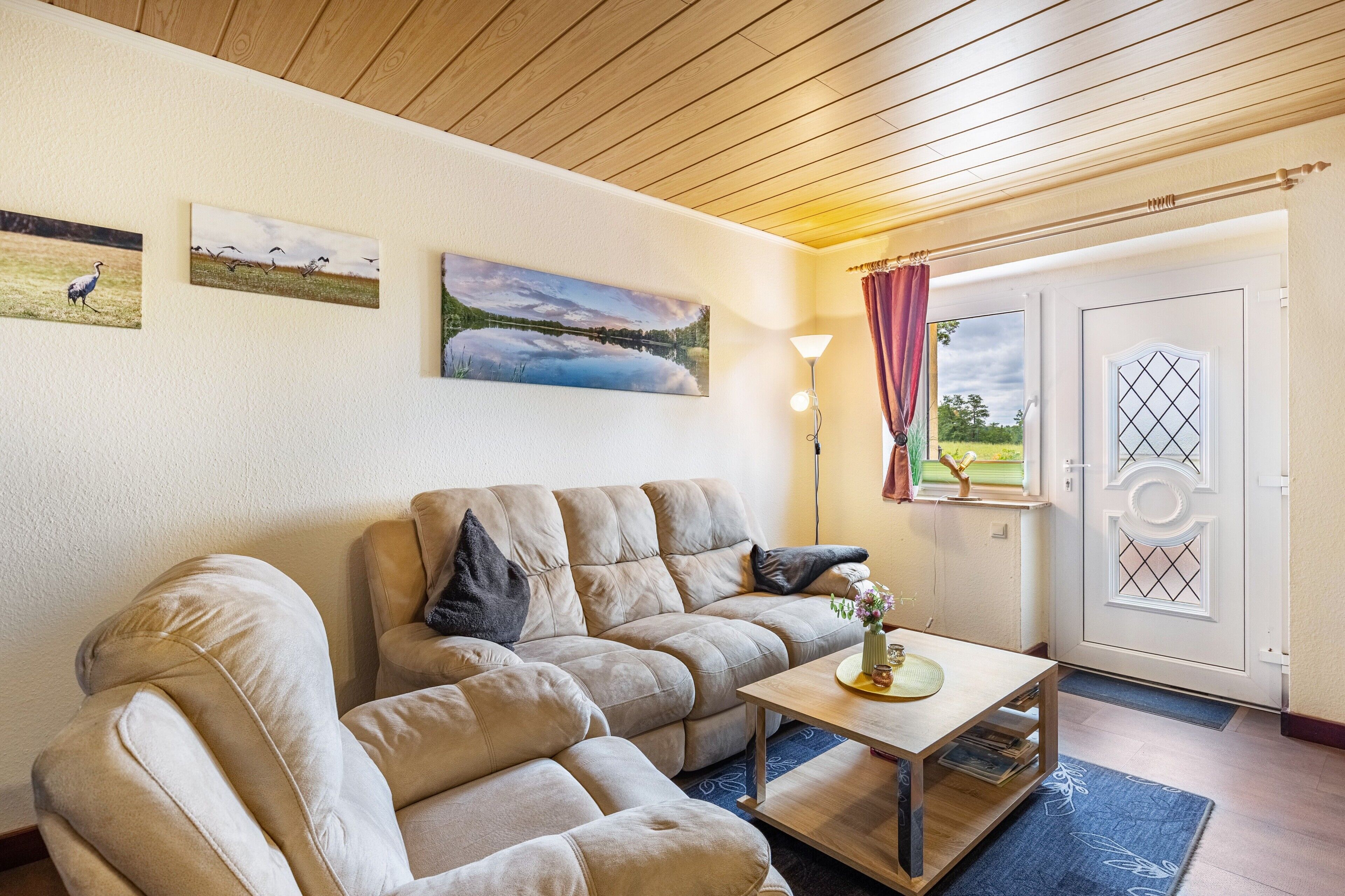TV, DVD player, table tennis