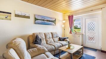 TV, DVD player, table tennis