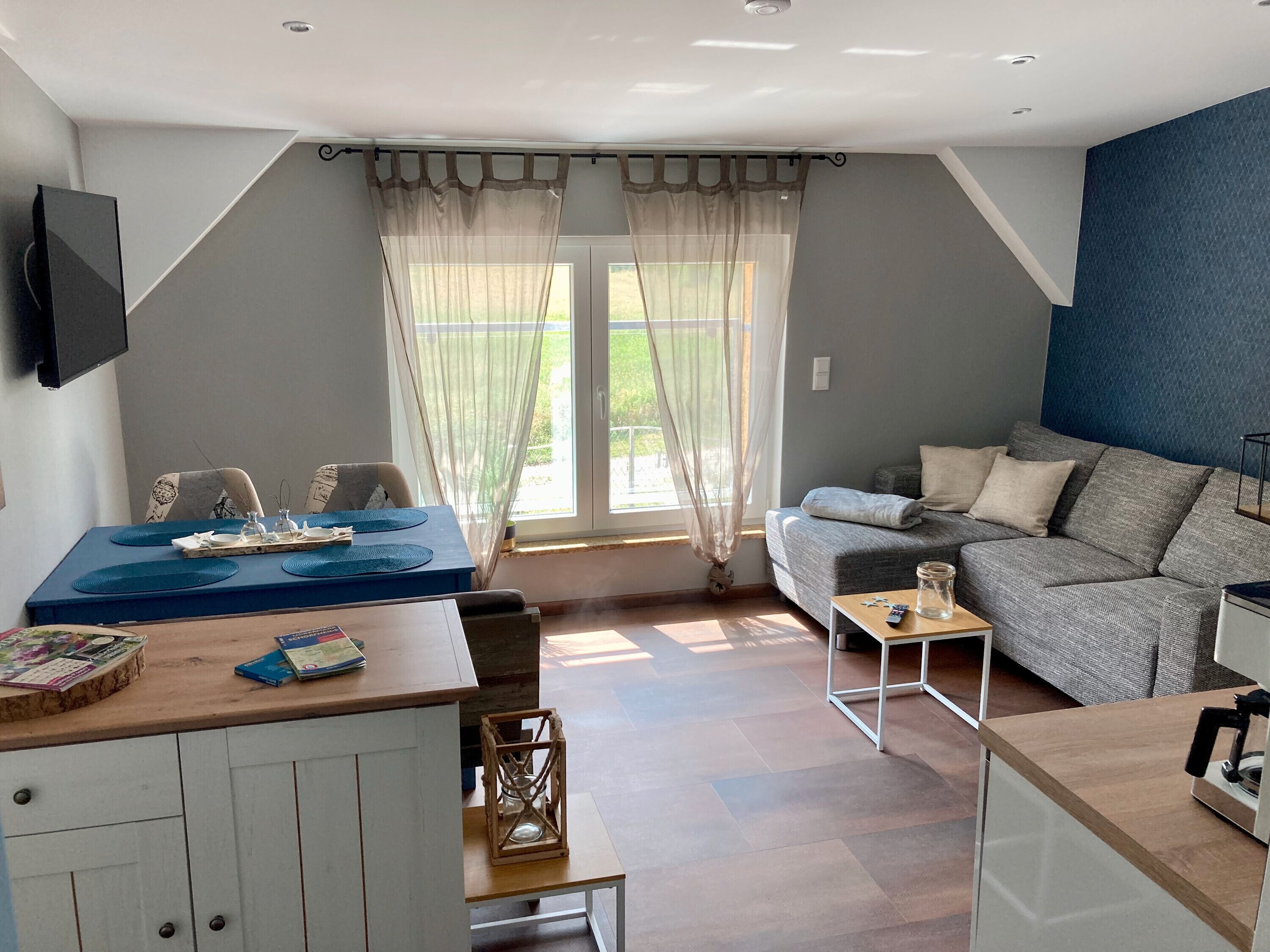 Télévision, lecteur de DVD, table de tennis de table