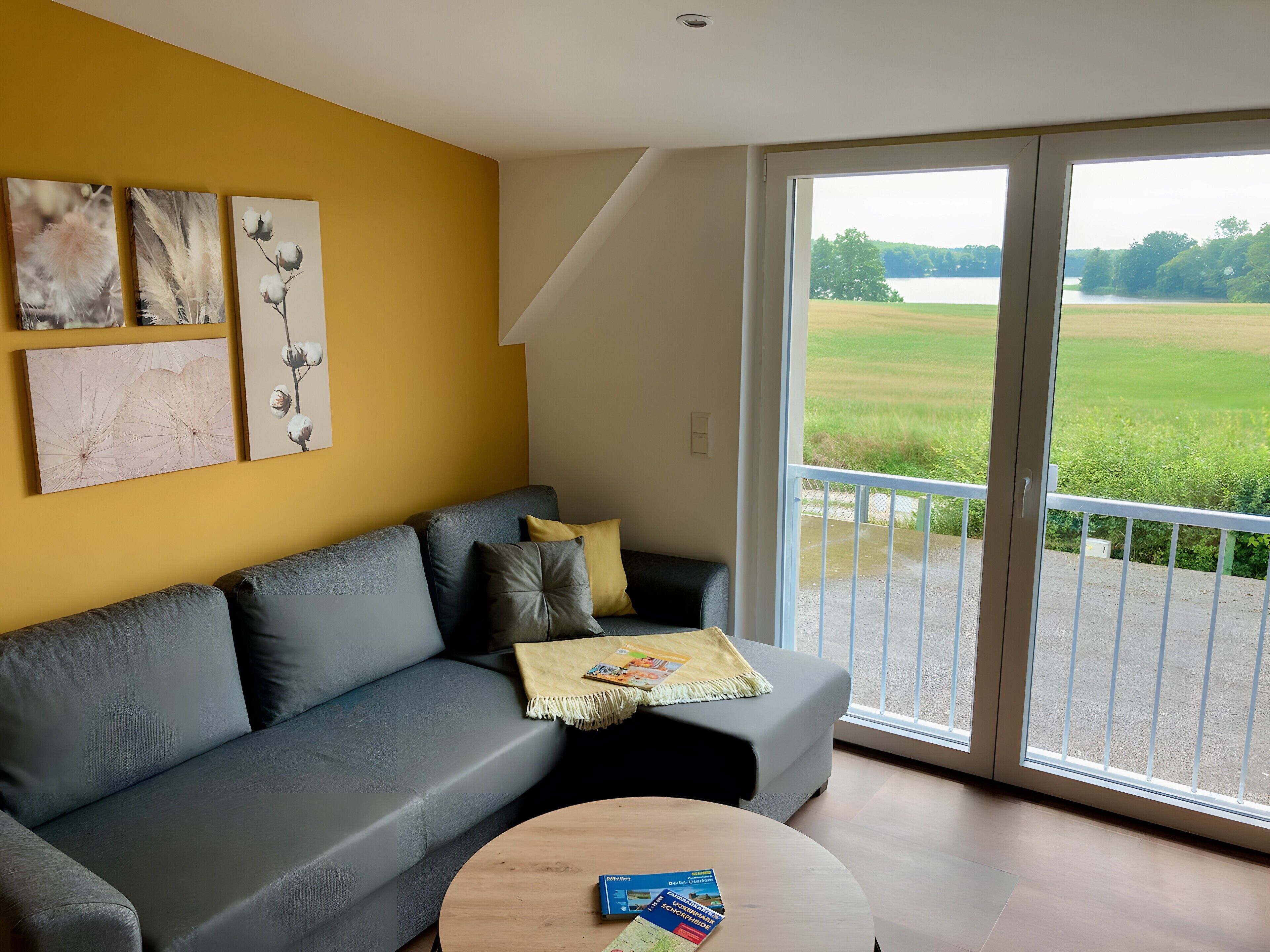 TV, DVD player, ping pong