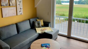 TV, DVD player, ping pong