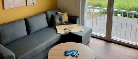 Télévision, lecteur de DVD, table de tennis de table