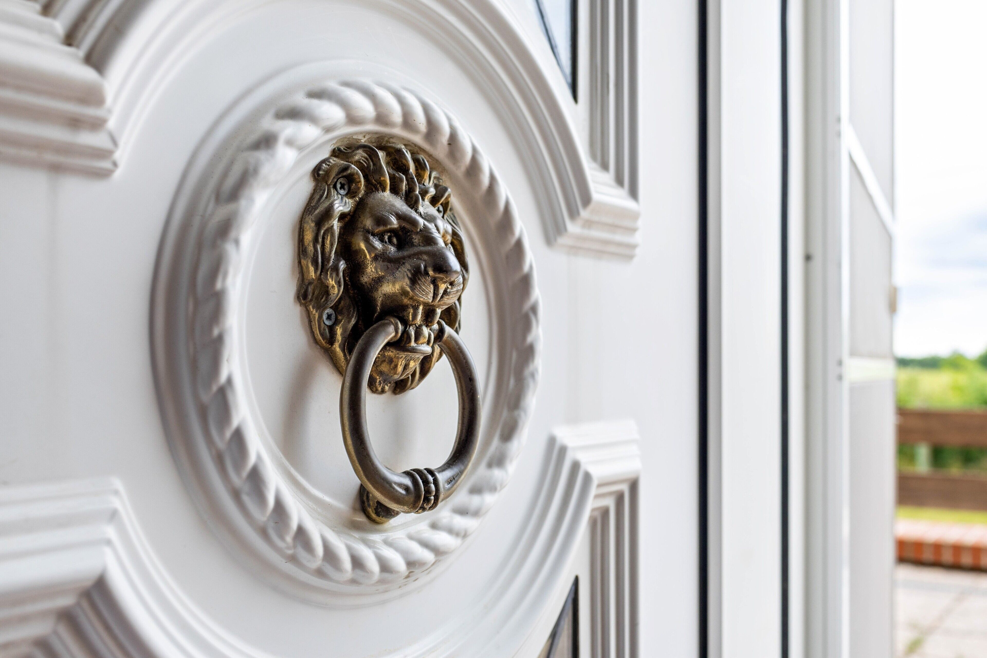 A white door with a brass lion head knocker and a ring handle.