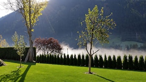 Eine gepflegte Rasenfläche mit Bäumen und einer Hecke.