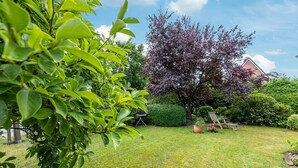 Ein gepflegter Garten mit verschiedenen Pflanzen, einer Rasenfläche und einem hölzernen Stuhl.