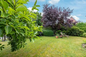 Ein gepflegter Garten mit verschiedenen Pflanzen, einer Rasenfläche und einem hölzernen Stuhl.