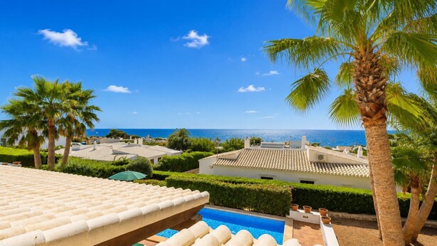 A pool area with a clear view of the sea, surrounded by palm trees and a tiled roof.