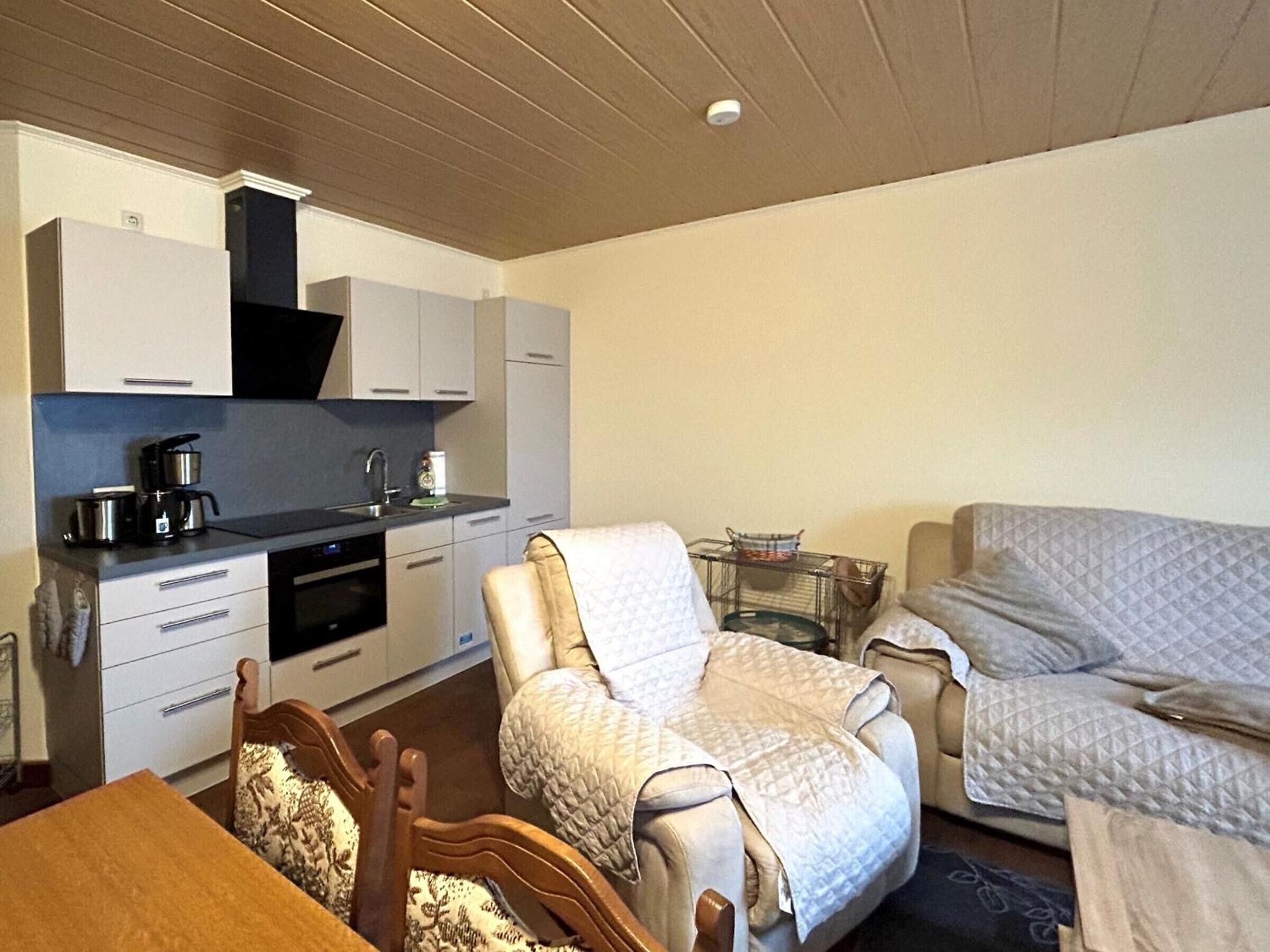 TV, DVD player, ping pong