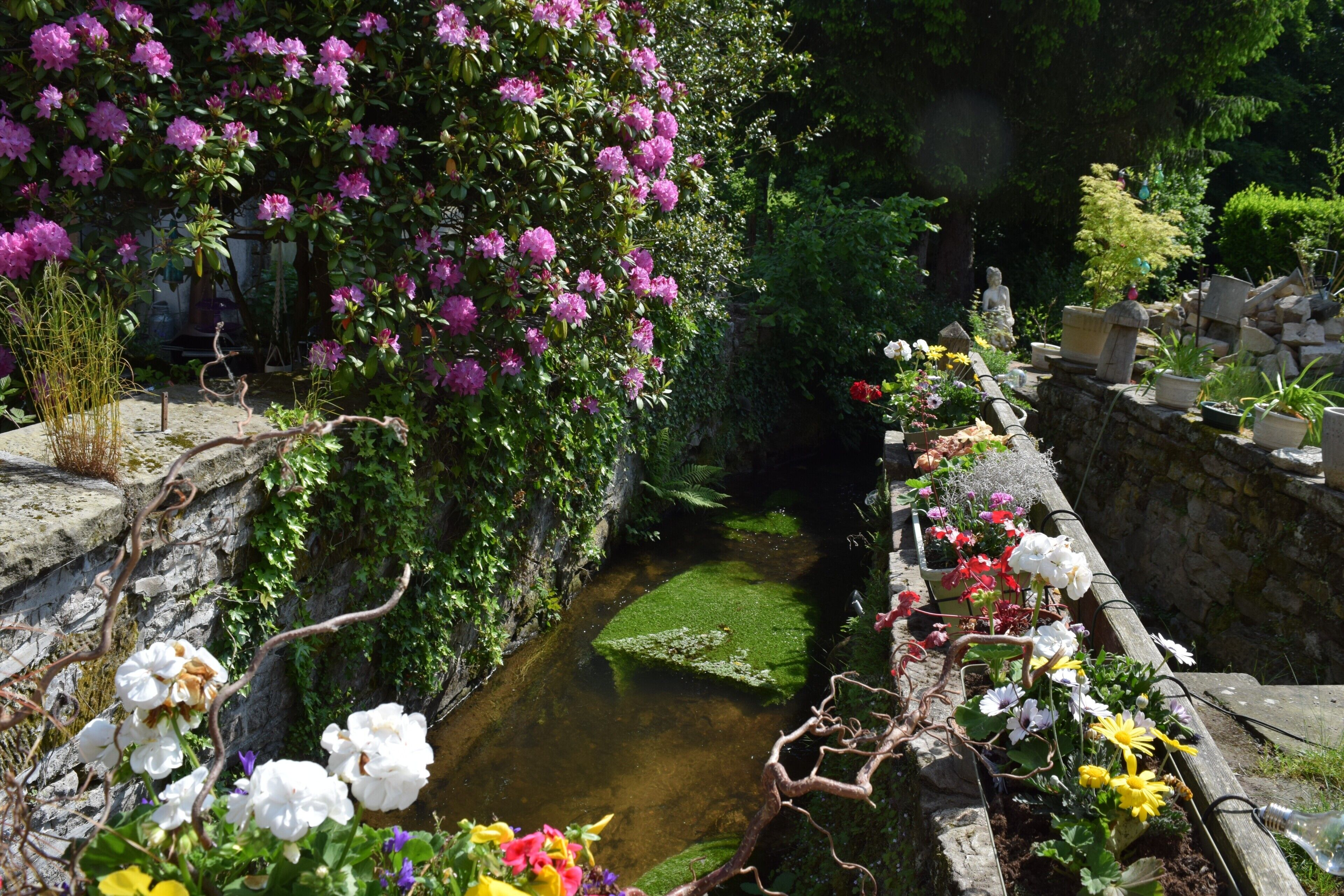 Um jardim com muro de pedra, um pequeno riacho e diversos vasos de plantas.