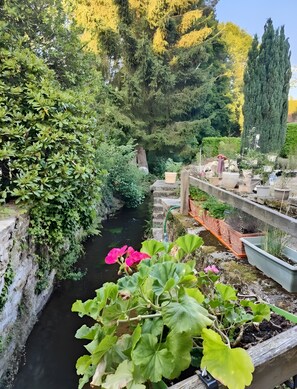 Un jardin avec un canal d’eau, diverses plantes en pot et un grand arbre.