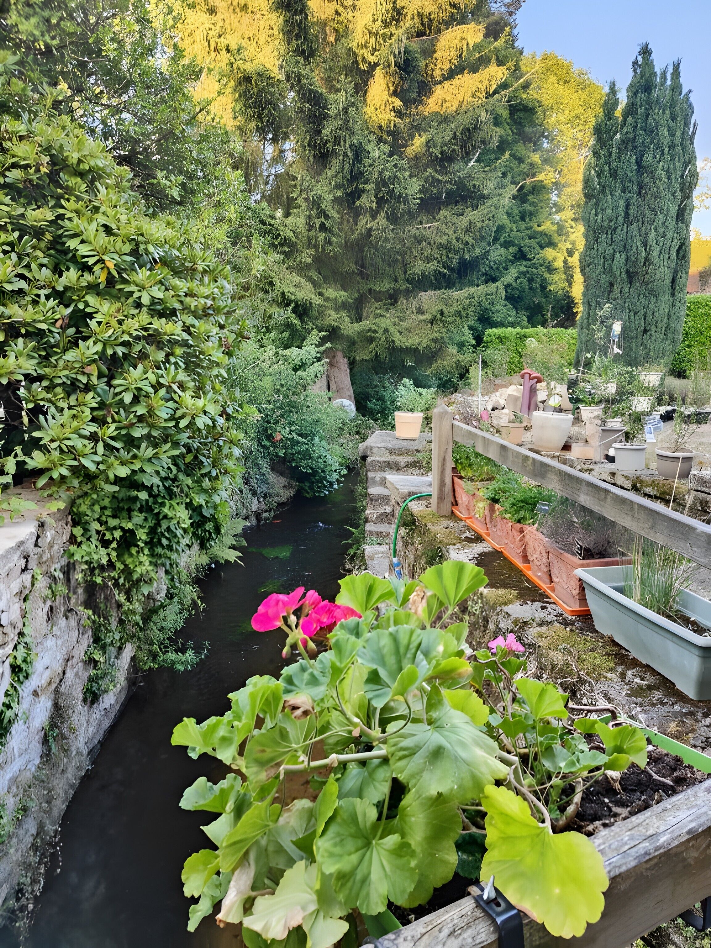 A garden with a water feature, potted plants, and a wooden fence.