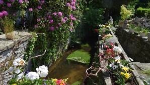 Un jardín con un muro de piedra, un pequeño arroyo y varias plantas en macetas.
